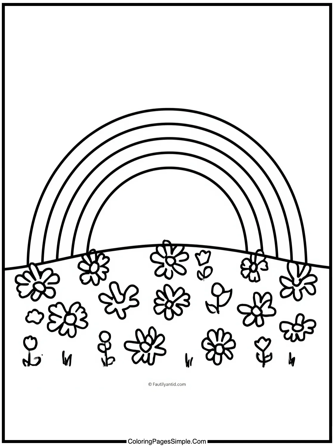 Rainbow Arching Over a Field of Daisies.