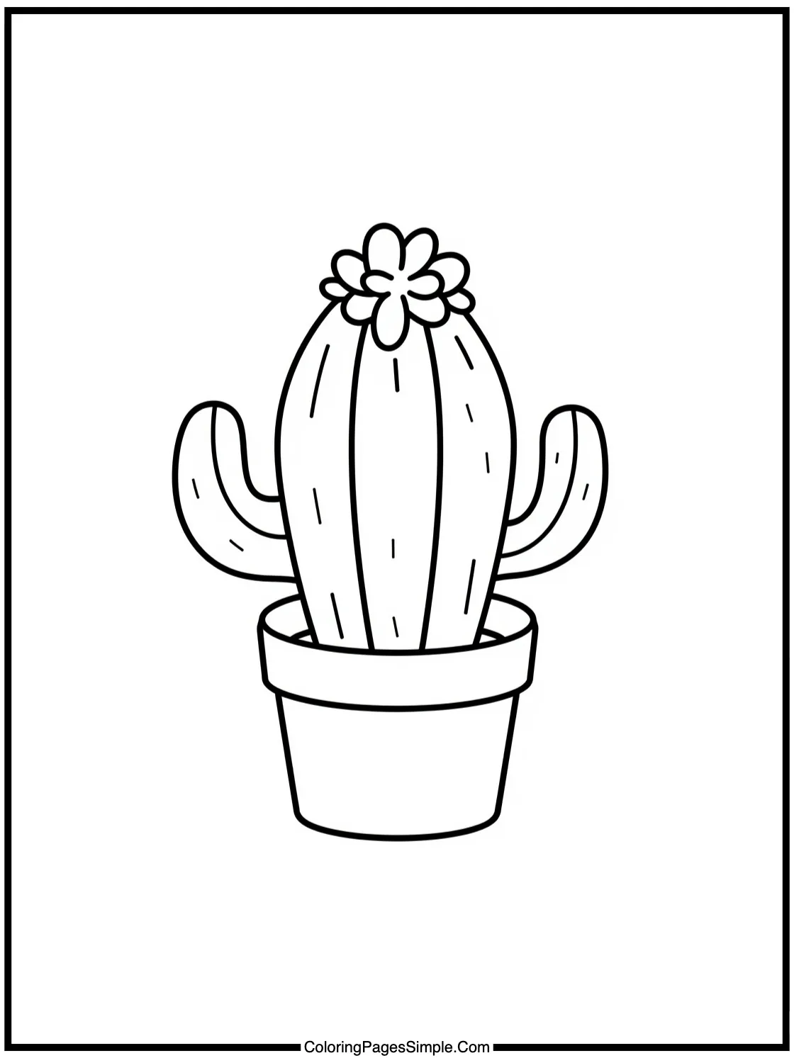 Tiny Cactus with a Flower Crown.