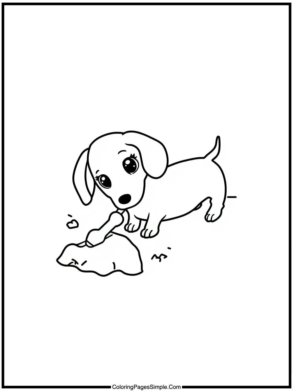 Tiny Dachshund digging for a toy.