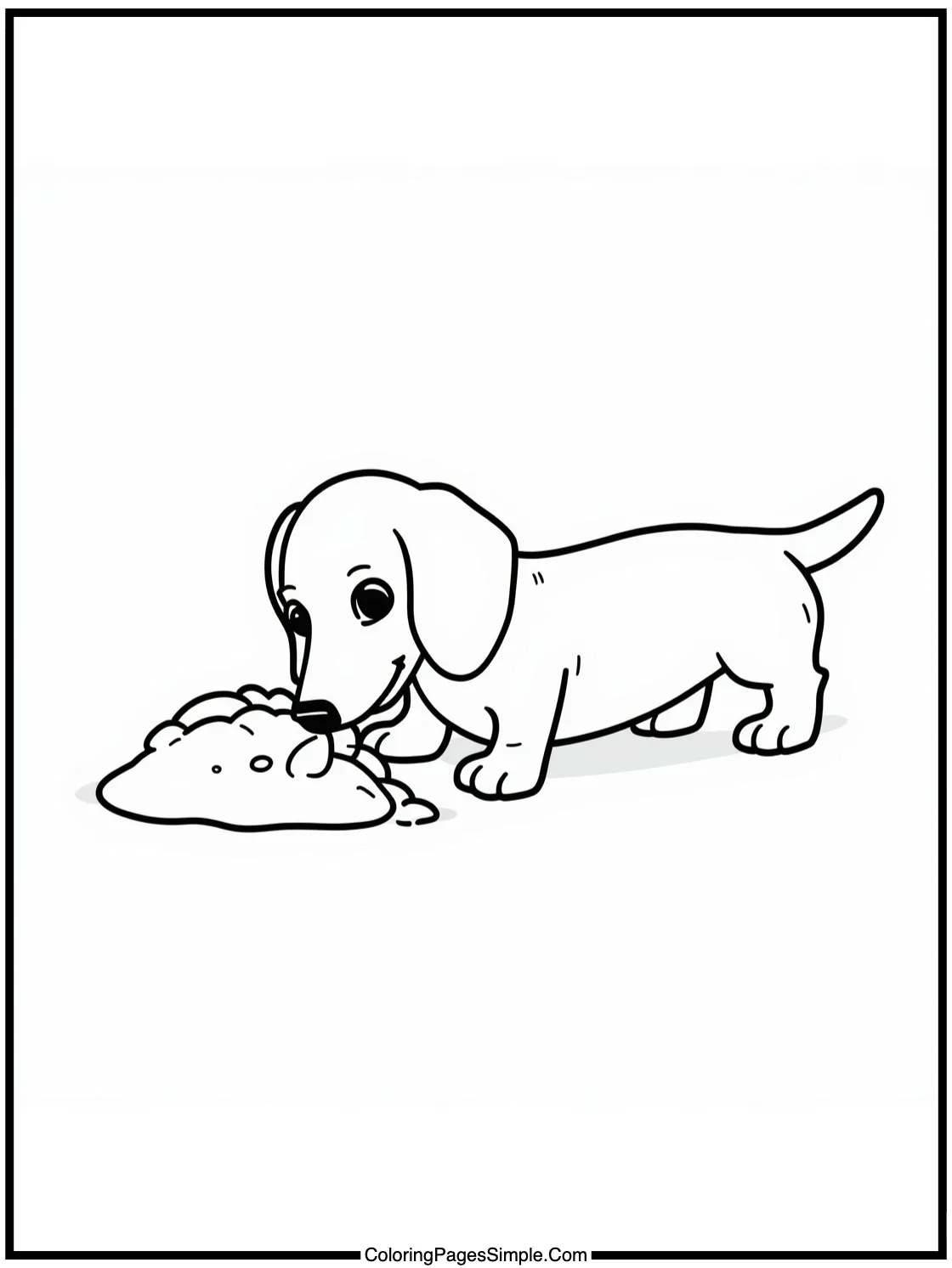 Tiny Dachshund digging for a toy.