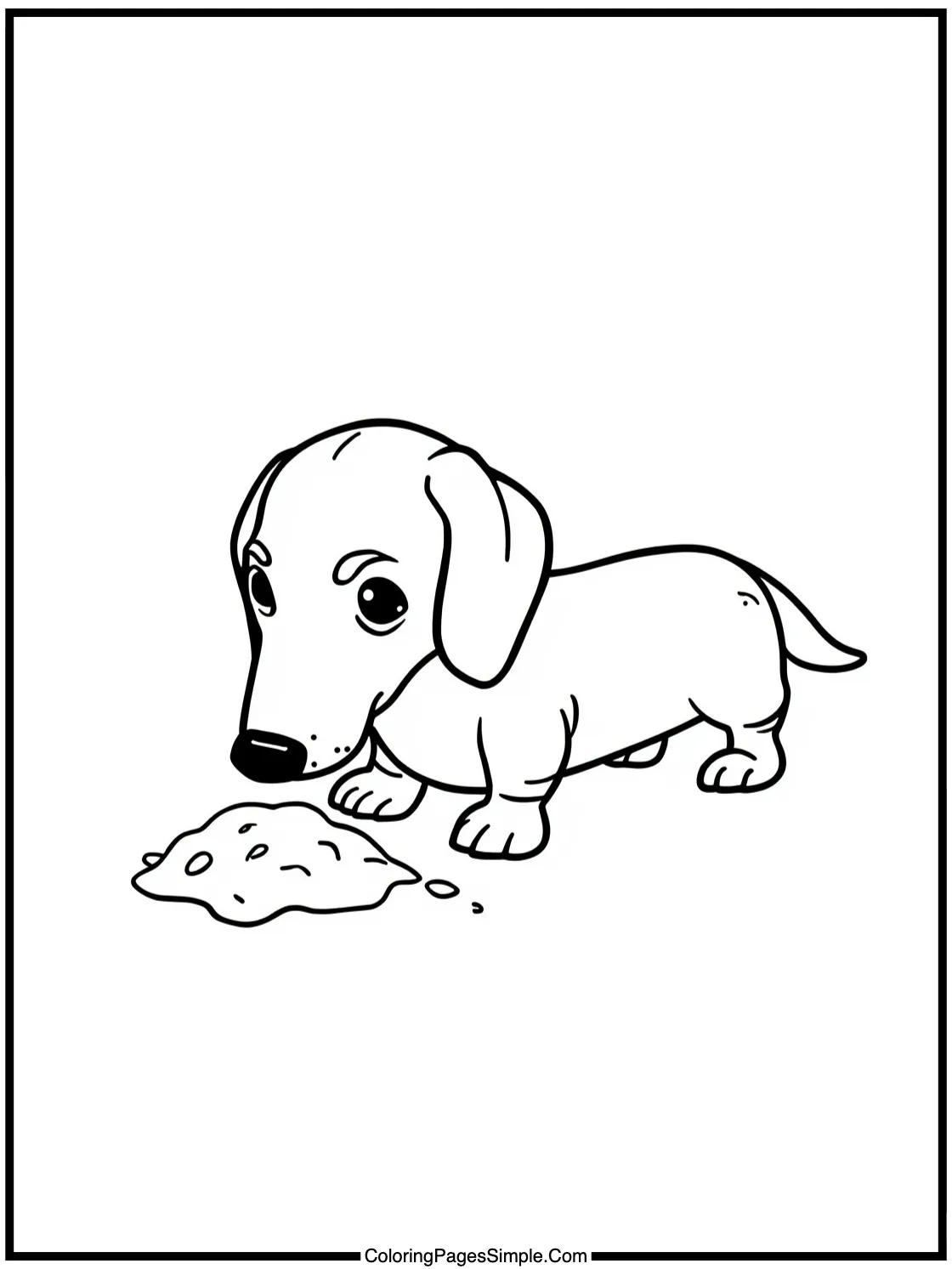 Tiny Dachshund digging for a toy.